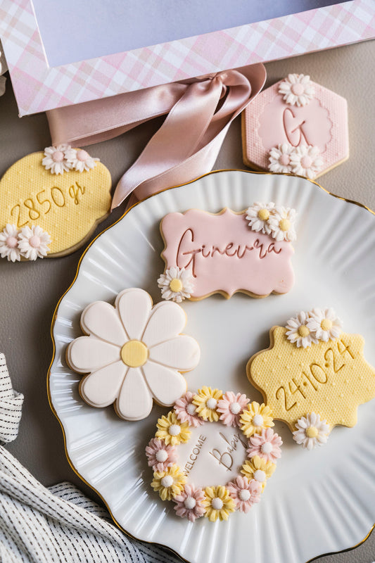 Box Luxury Nascita 2