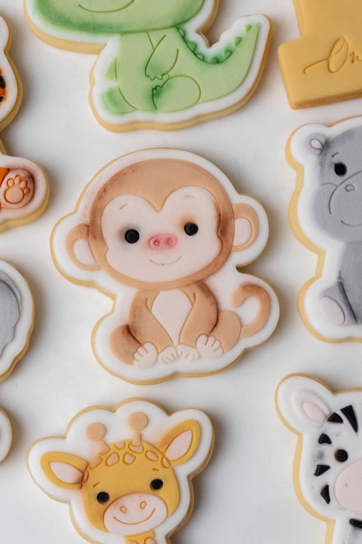 Animali della Giungla