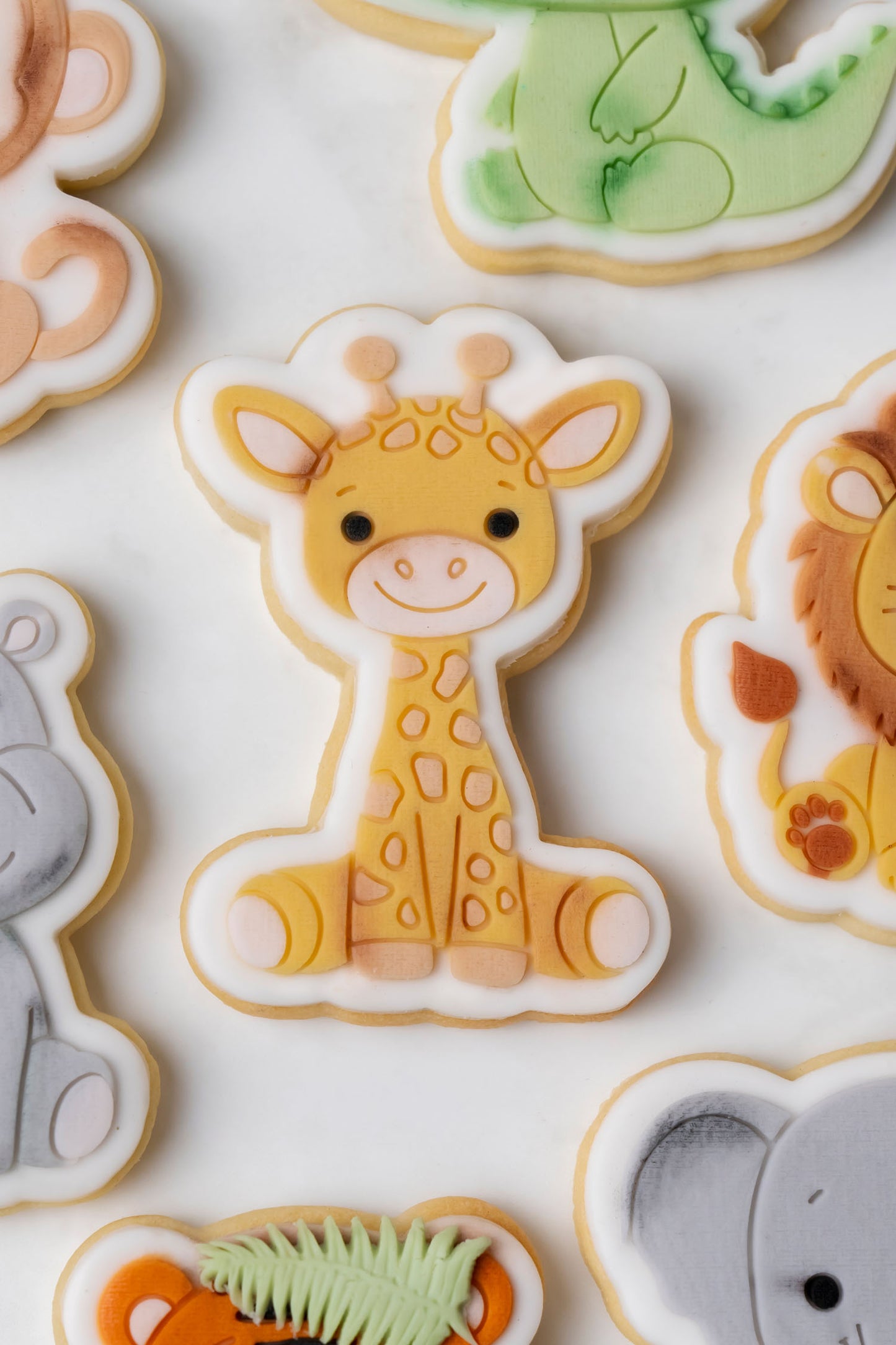 Animali della Giungla