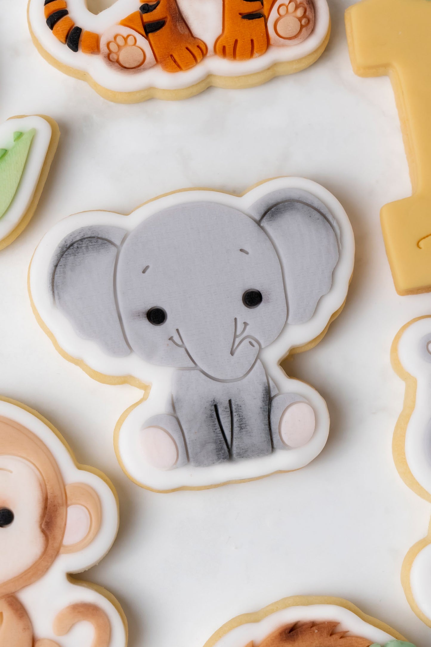 Animali della Giungla